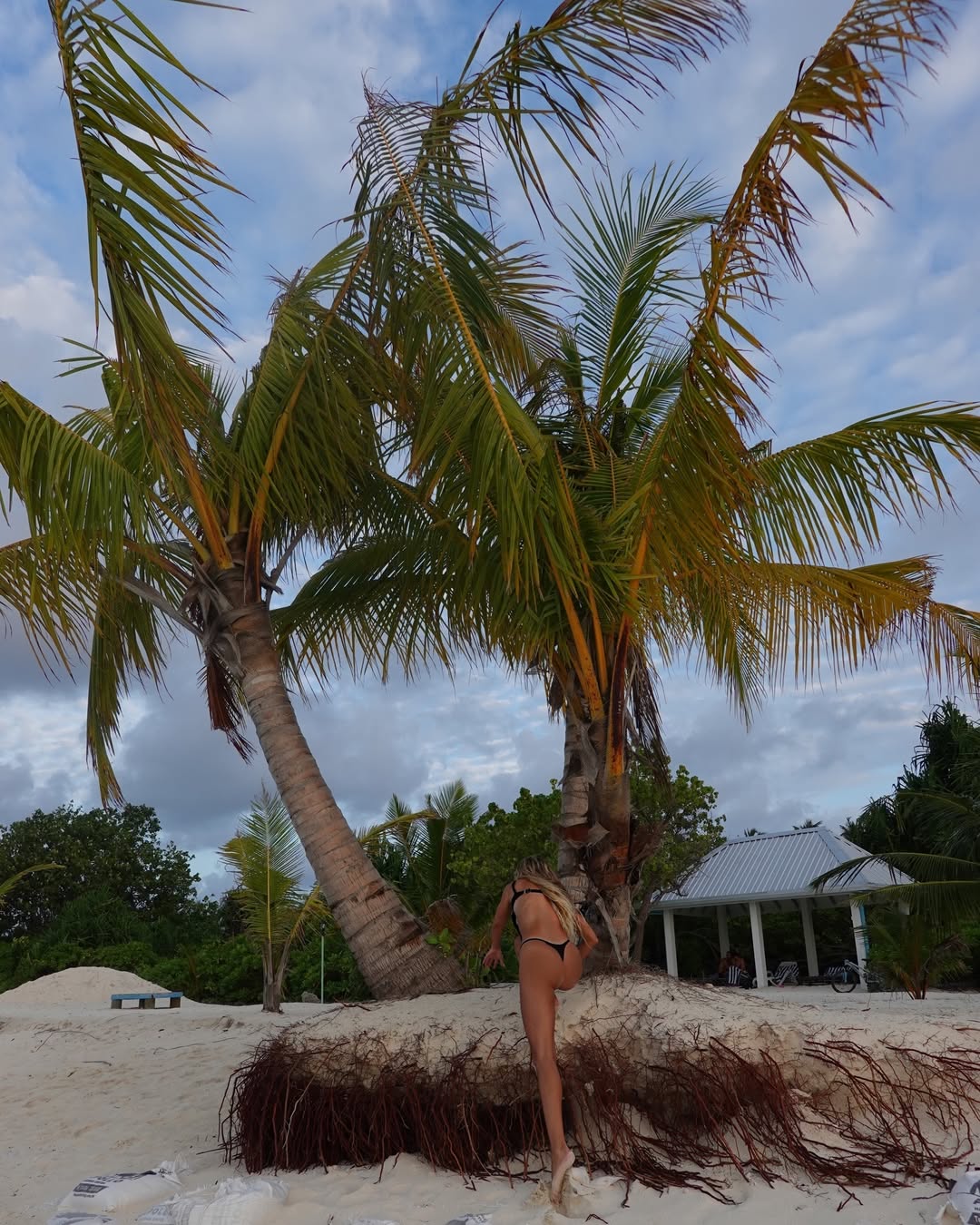 Nueva Modelo Superfans - ¡Bienvenid@ a mi Portfolio!