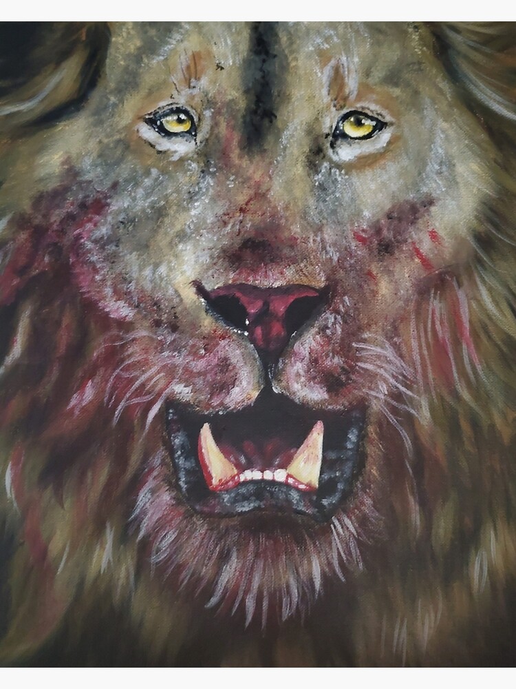 Nueva Modelo Superfans - ¡Bienvenid@ a mi Portfolio!