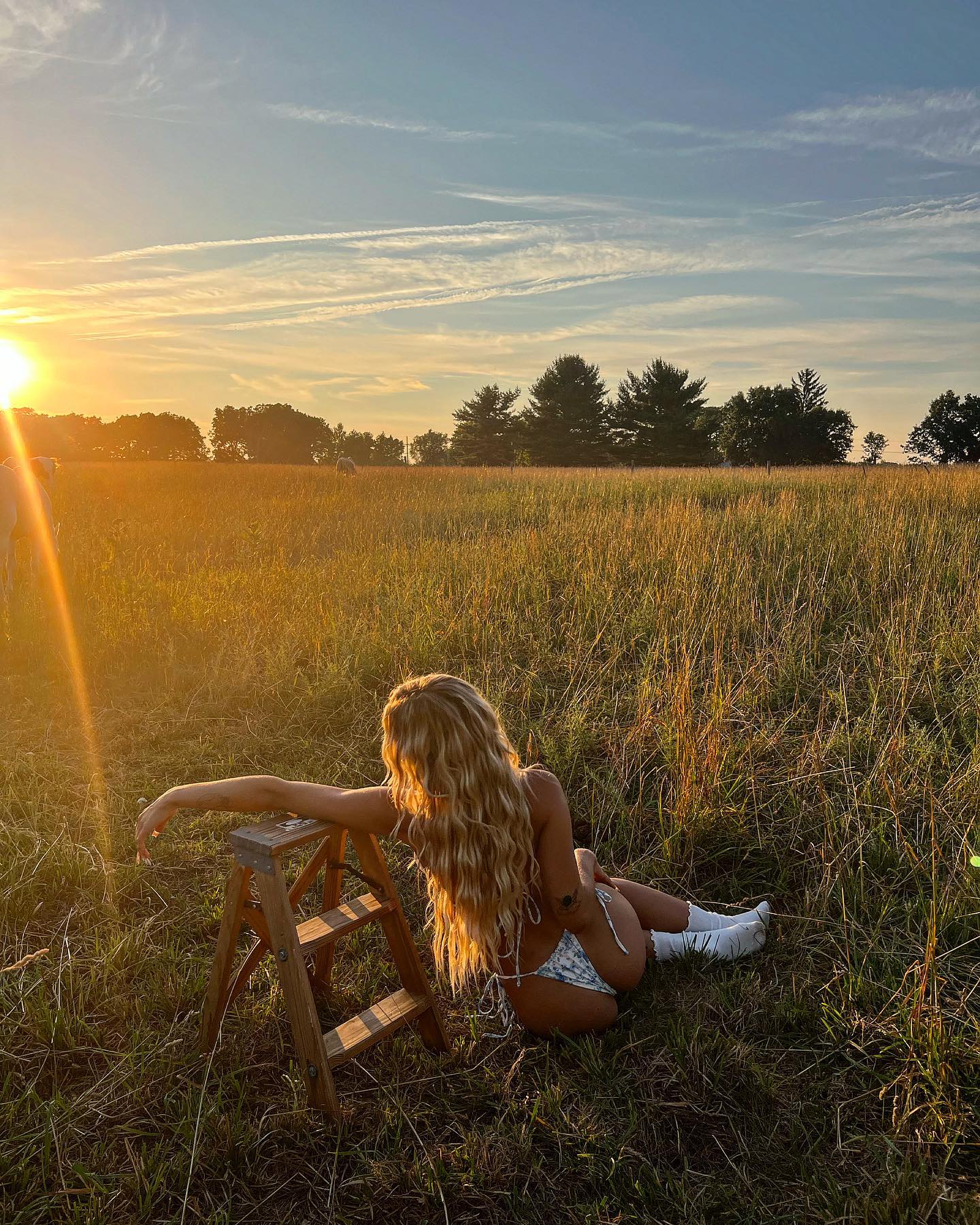 Nueva Modelo Superfans - ¡Bienvenid@ a mi Portfolio!